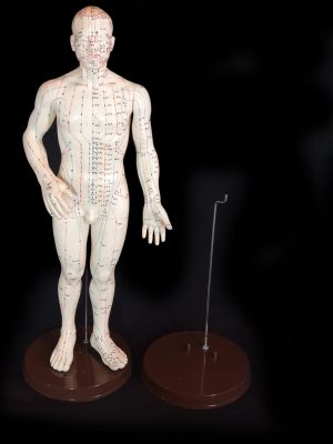 Antike chinesische Akupunktur-Statue - Plastik - Kunststoffständer für Akupunkturstatue